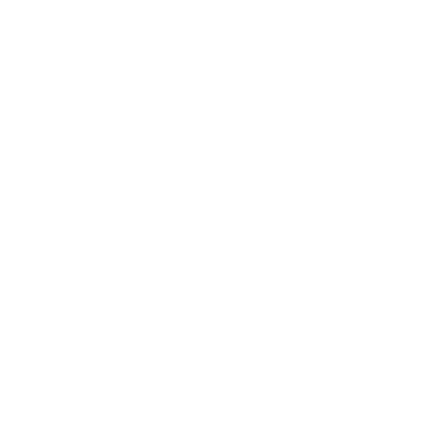 The Rebel Doc